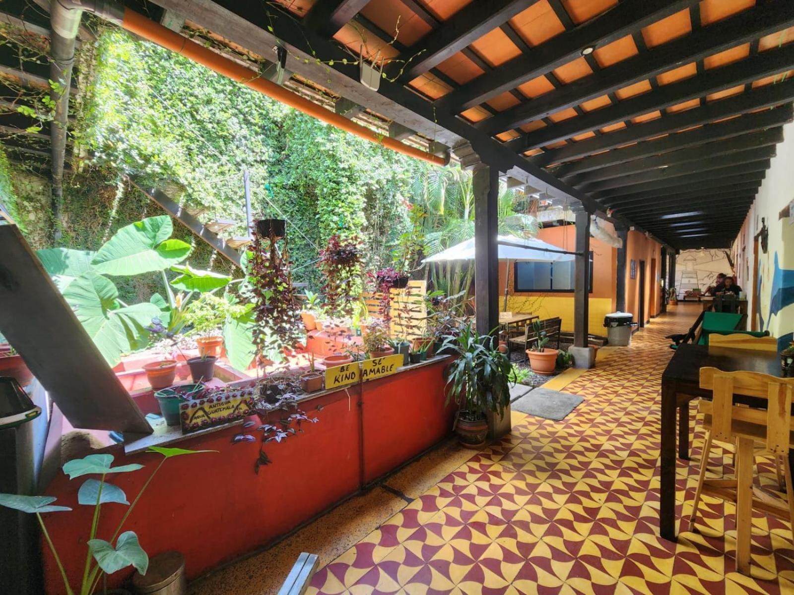 Amura Hostal Antigua Exterior photo